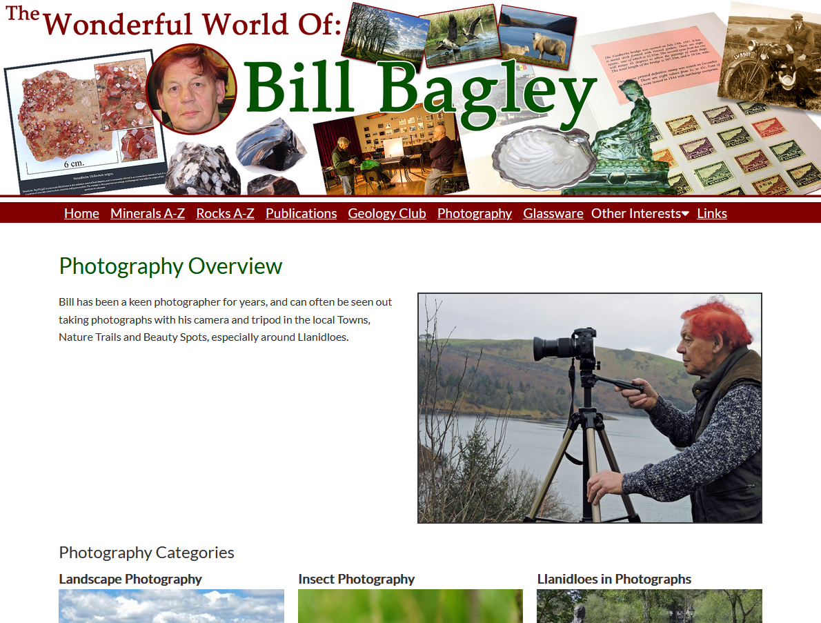 Personal Website for Bill Bagley - Powys Businessman