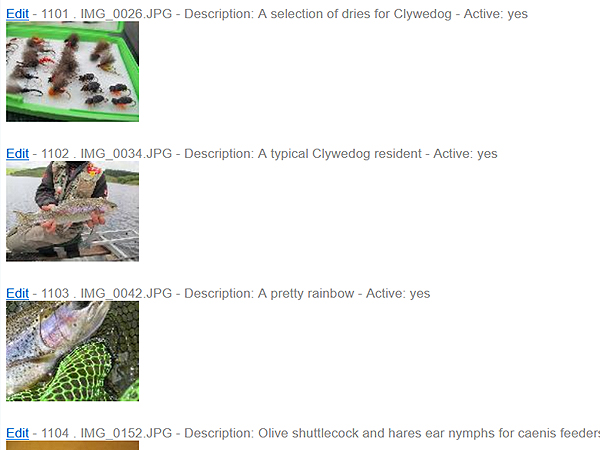 Content Management System for Clywedog Trout Fishing